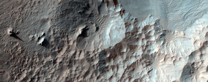 Recent Gully Activity in Gasa Crater