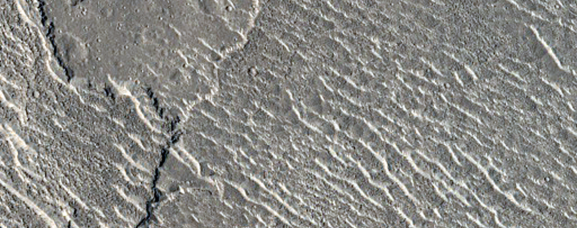 Lava near Athabasca Valles