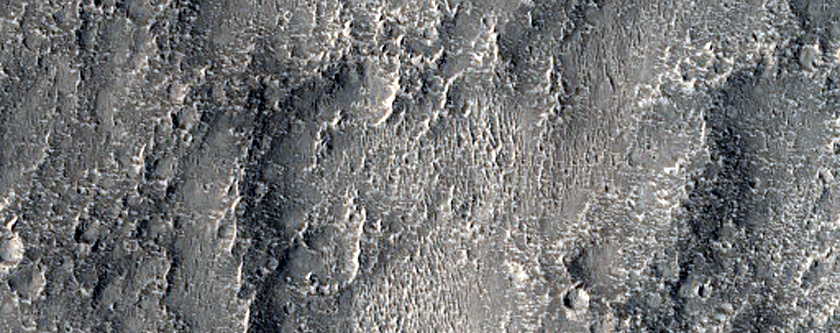 Field of Ridges in Nepenthes Mensae