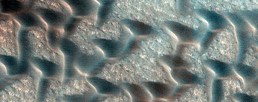 Dunes Shaped Like Ts and Vs