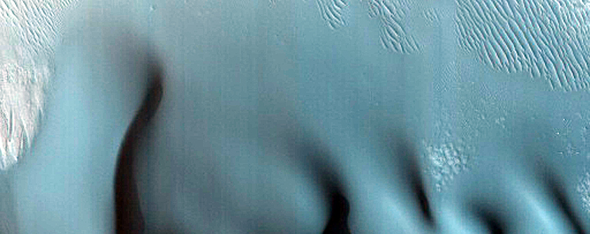 Dune Monitoring in Crater