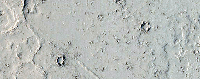 Elysium Planitia Lava