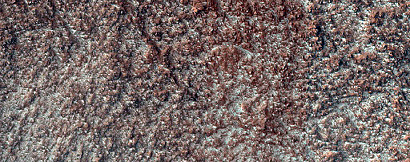 Gullies in Western Nereidum Montes