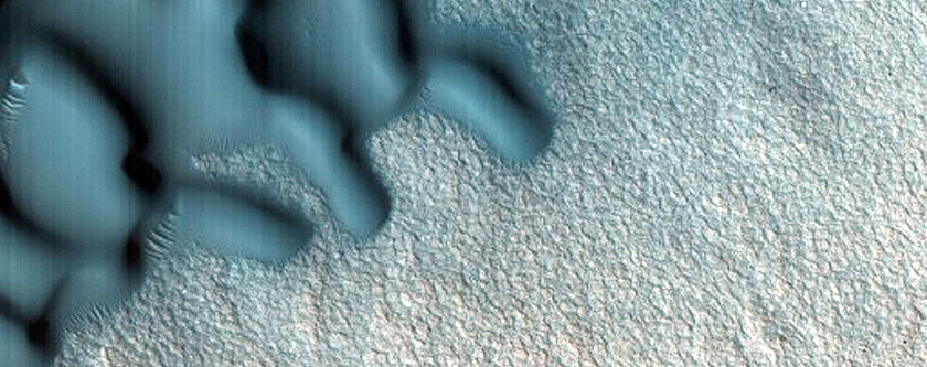 Dune Monitoring in Crater