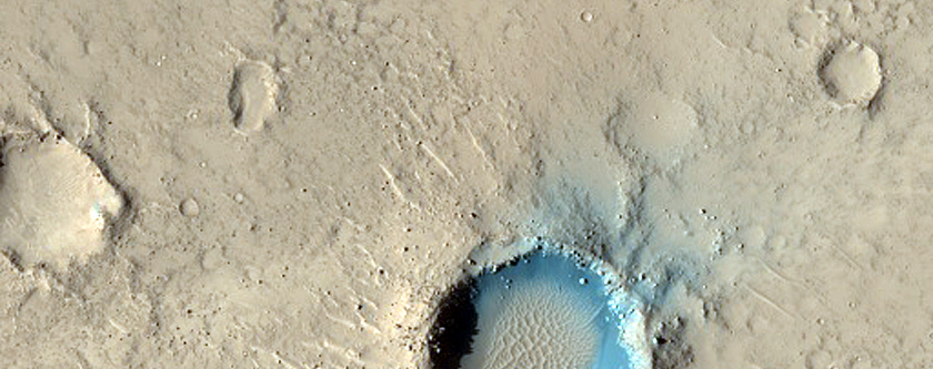 Young Lava Flows in Elysium Region