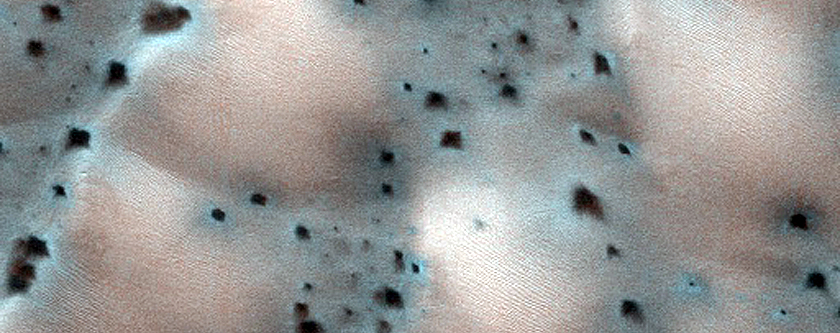 Dunes with New Spiders