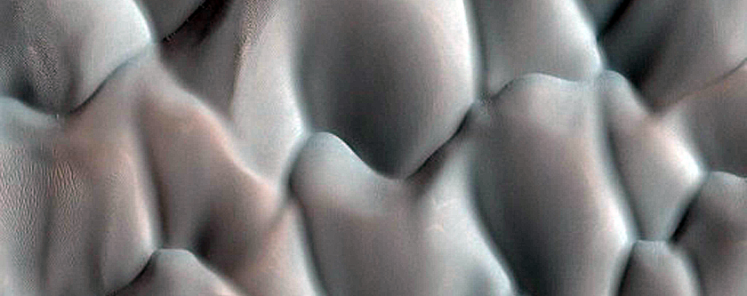 Dune Monitoring in Lyot Crater