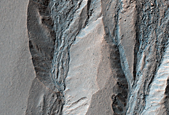 Gullies on the Northern Crater Slope in Terra Sirenum
