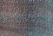 Small South Facing Gullies in Glaciated Crater