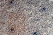 Terrain Sample