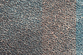 Terrain Sample