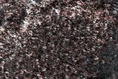 Terrain Sample