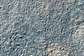 Delicate South-Facing Gullies in Partially Filled Crater