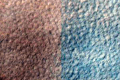 Terrain Sample