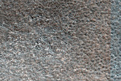 Terrain Sample