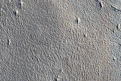 Impact Monitoring in Arcadia Planitia
