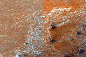 Terrain Sample