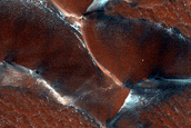 Terrain Sample