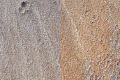 Syria Planum and Claritas Fossae Dust-Raising Event Monitoring Site
