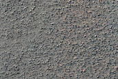 Terrain Sample