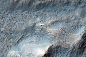 Gullies and Flow in Small Crater North of Newton Crater