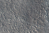 Impact Monitoring in Arcadia Planitia