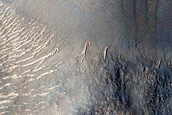 Terrain Sample