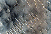 Terrain Sample