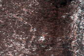 Terrain Sample