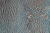 Proposed Site for Future Exploration in Capri Chasma
