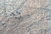 Terrain Sample