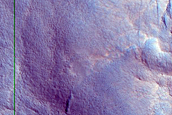 Gully Monitoring
