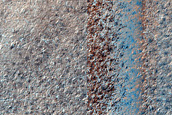 Terrain Sample
