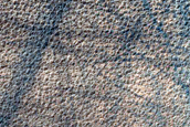 Terrain Sample