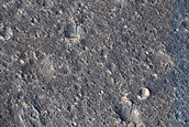 Amenthes Cavi