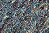 Olivine-Rich Bedrock on Plains Northwest of Hellas Planitia
