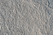 Recent Impact Site