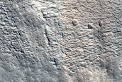 Possible Gully on Crater Wall near Mareotis Fossae