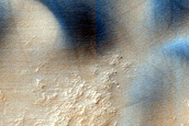 Dune Survey