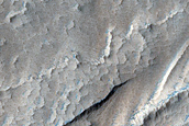 Oti Fossae