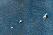 Light-Toned Deposits within Arsinoes Chaos