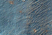 Coracis Fossae