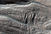 Gullied Slope