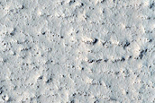 Infrared Contact in Elysium Planitia