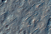 Mid-Latitude Crater with Textured Floor Seen in MOC Image E01-01201
