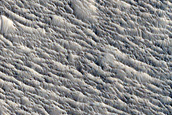 Nili Fossae