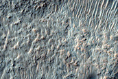 Possible Mafic Materials around Crater within Newton Crater