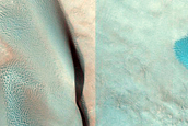 Dune Monitoring in Davies Crater