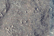 Cerberus Palus Lava Margin