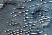 Tyrrhena Terra